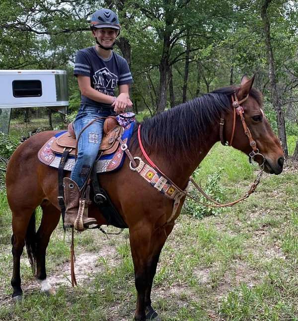 14-hand-quarter-horse-gelding