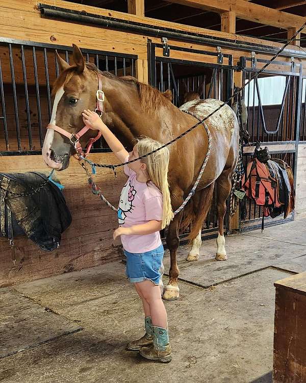 appaloosa-blanket-blaze-horse