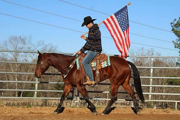 barrel-racing-quarter-horse