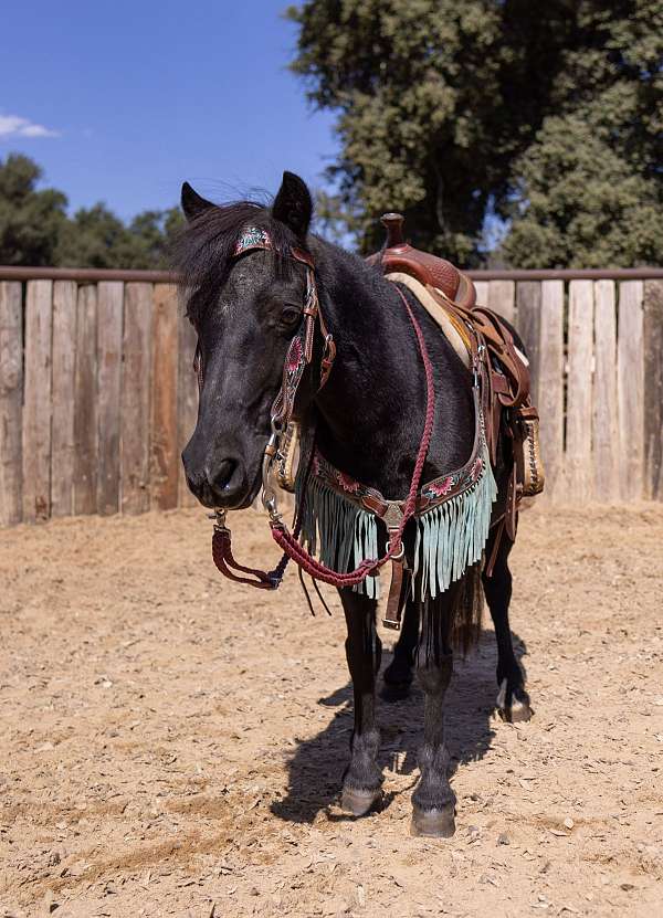 kid-safe-pony