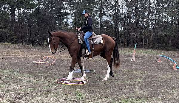 racing-draft-horse