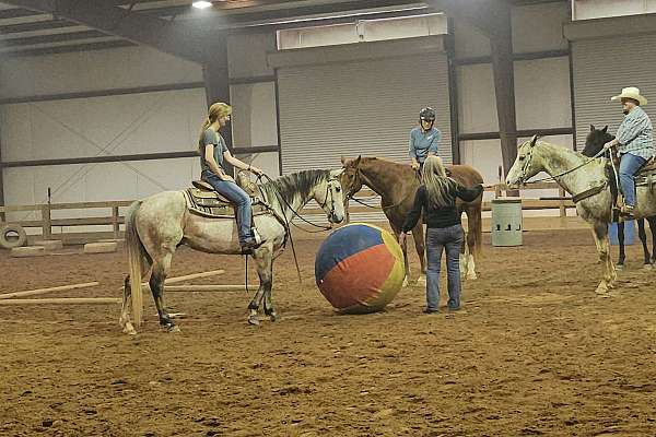 performance-roping