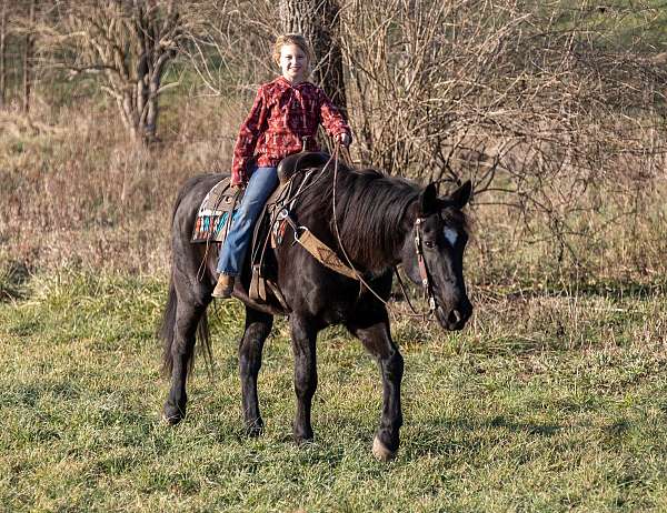 backs-up-percheron-horse