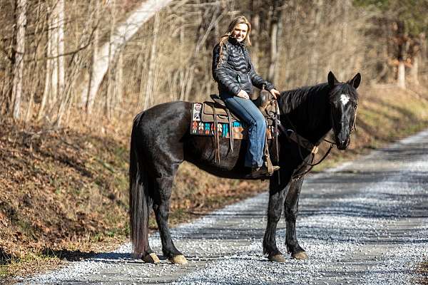 neck-percheron-horse