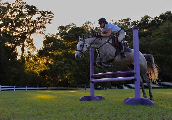 equitation-quarter-horse