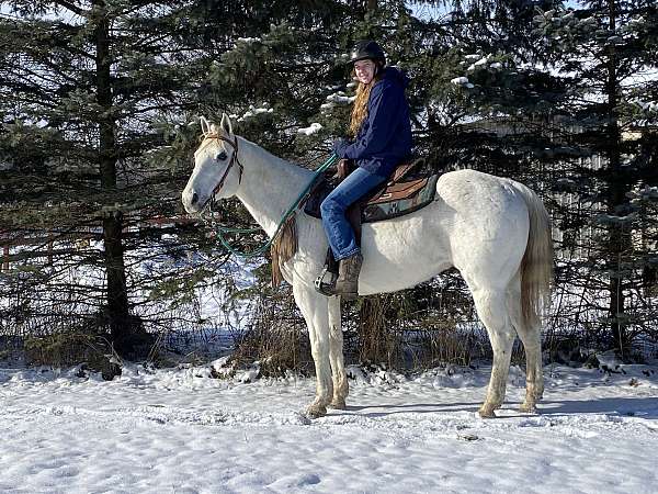 all-around-quarter-horse