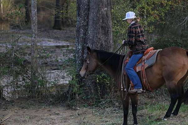 beginner-quarter-horse