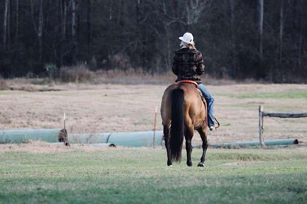 roping-quarter-horse