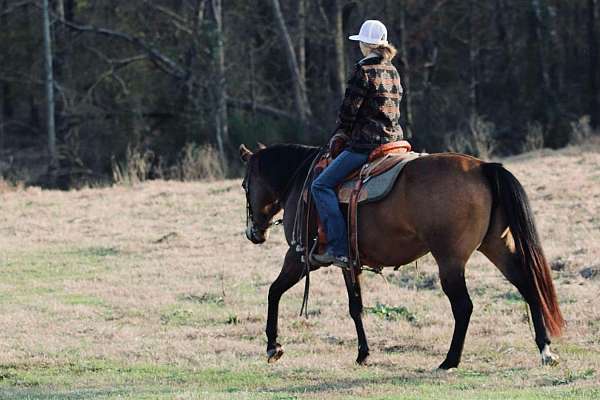 trail-riding-quarter-horse