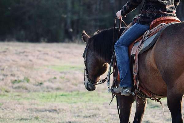 western-riding-quarter-horse