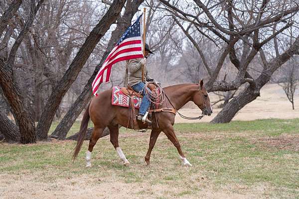 ranch-work-quarter-horse