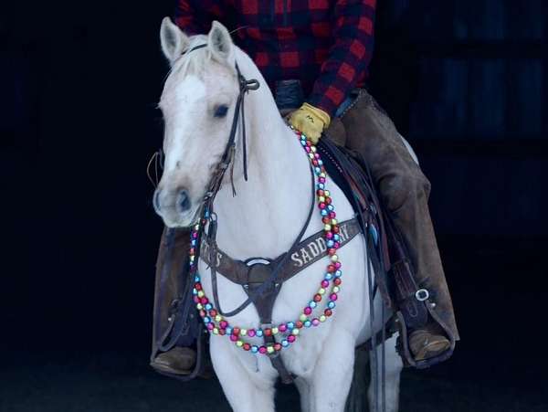 ranch-work-quarter-horse