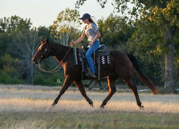 ranch-versatility-quarter-pony