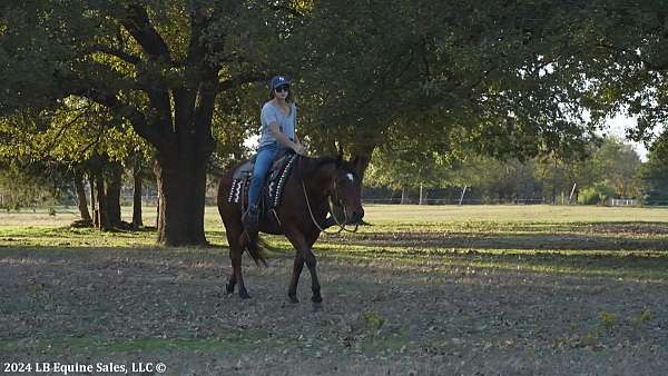 roping-quarter-pony