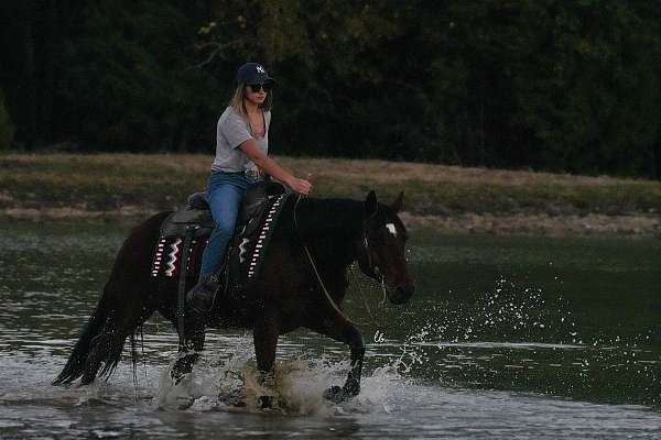 ranch-work-quarter-pony