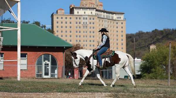 athletic-paint-horse