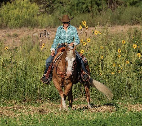 flashy-quarter-horse