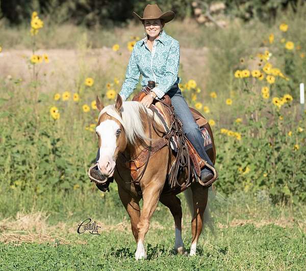 husband-safe-quarter-horse