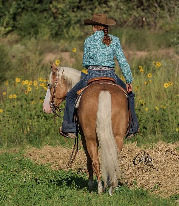 roping-quarter-horse