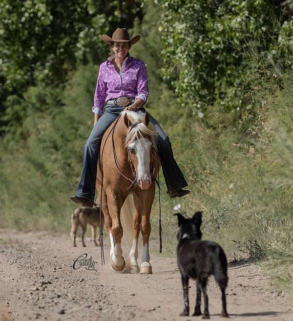 western-riding-quarter-horse