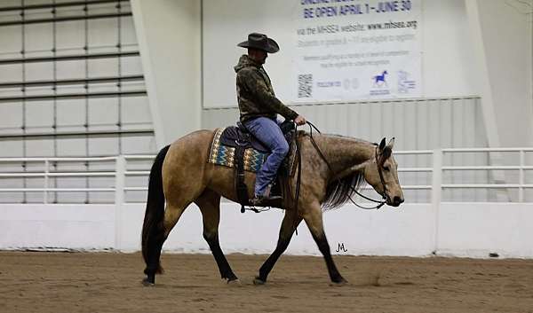 roping-quarter-horse