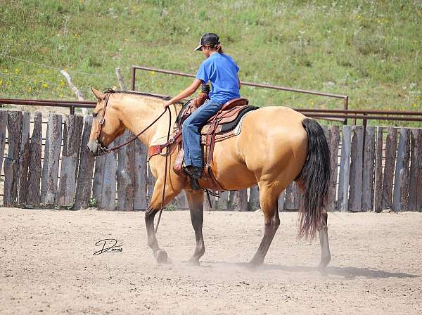 youth-quarter-horse