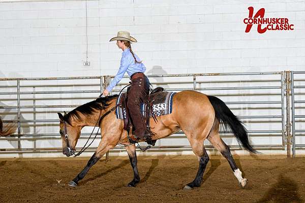 calf-roping-quarter-horse