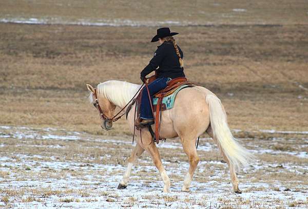 jumping-quarter-horse