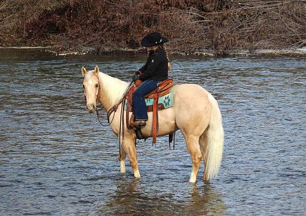 ranch-versatility-quarter-horse