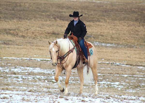 ranch-work-quarter-horse