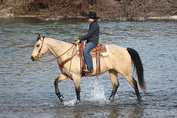 ranch-work-quarter-horse