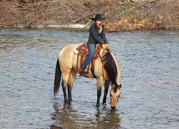 team-penning-quarter-horse