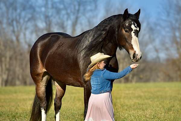 jumping-draft-horse