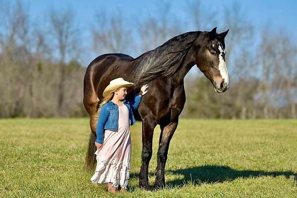 kid-safe-draft-horse