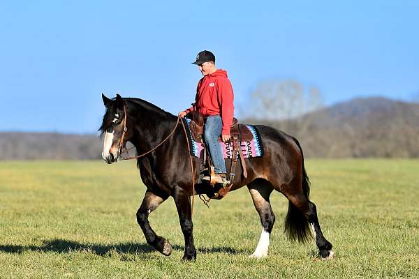 ranch-work-draft-horse