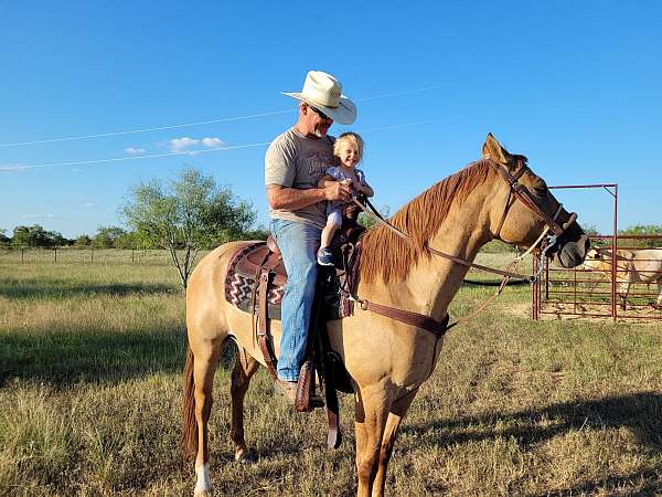 dorsal-strip-gelding