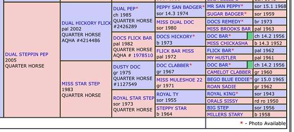 breeding-ranch-broodmare