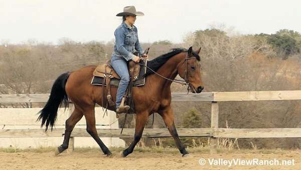 ranch-versatility-quarter-horse