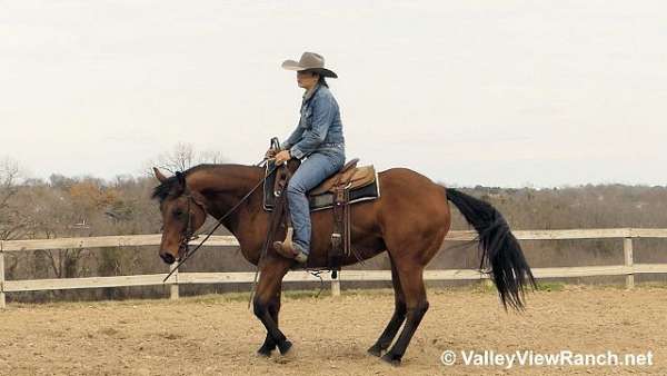 trail-riding-quarter-horse