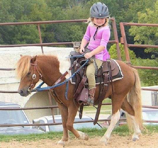 beginner-pony