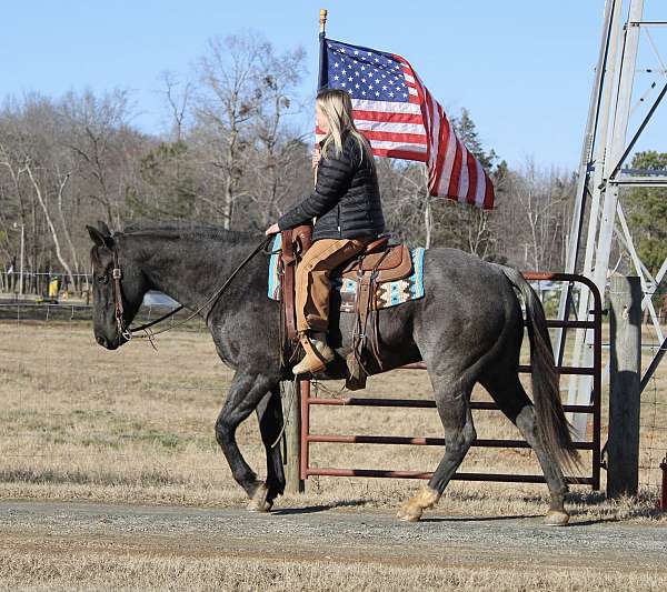 athletic-quarter-horse