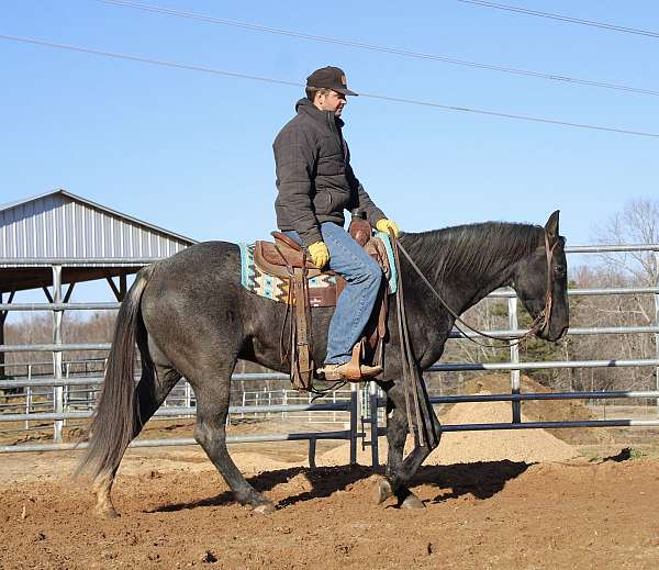 barrel-racing-quarter-horse