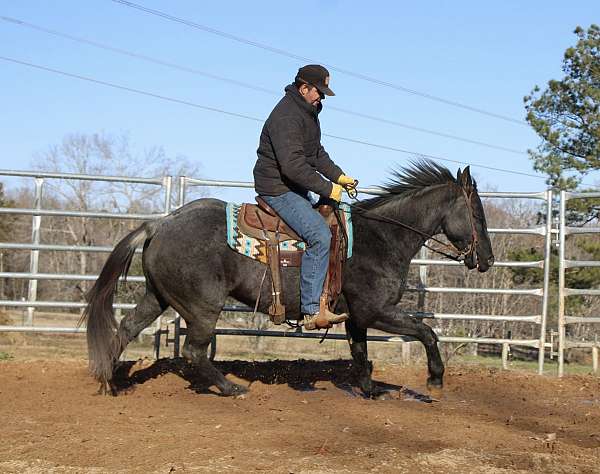 cowboy-mounted-shooting-quarter-horse