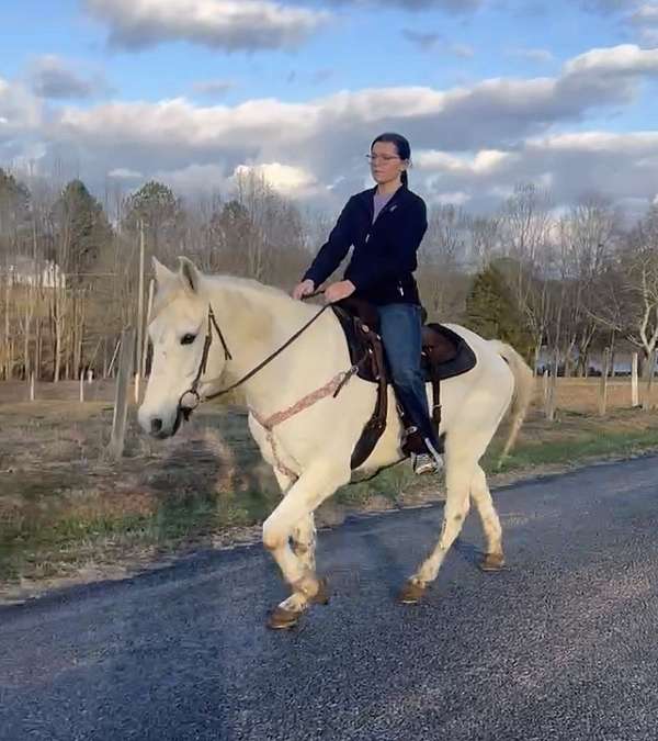 white-gray-gelding-dark-skin-horse