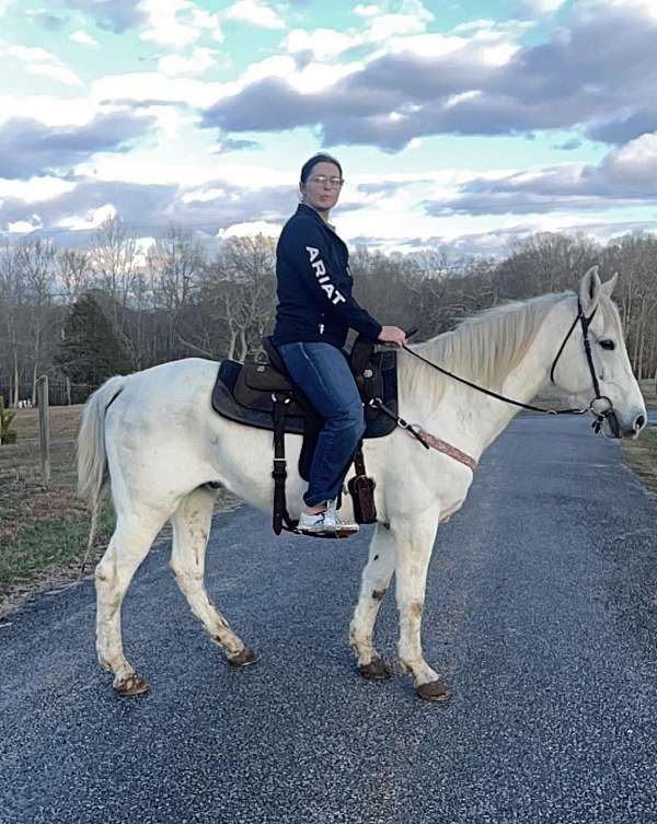 white-gray-gelding-dark-skin