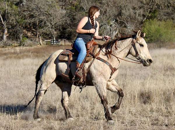 barrel-racing-quarter-horse