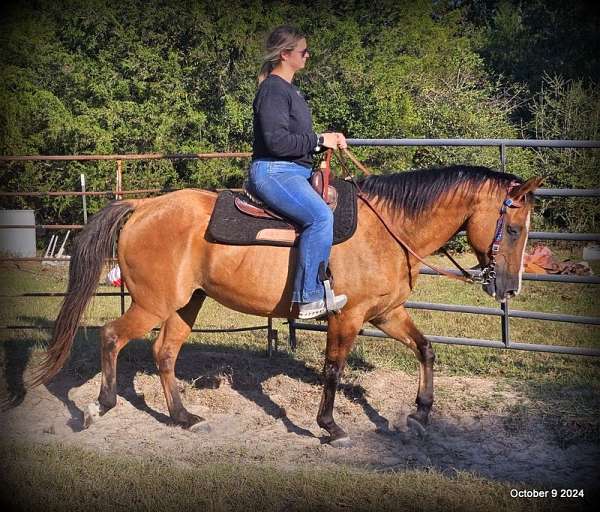 kids-quarter-horse