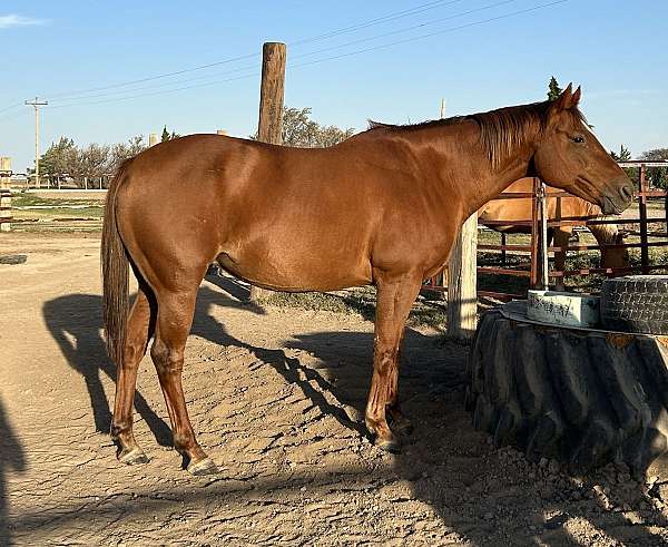 one-time-pepto-mare