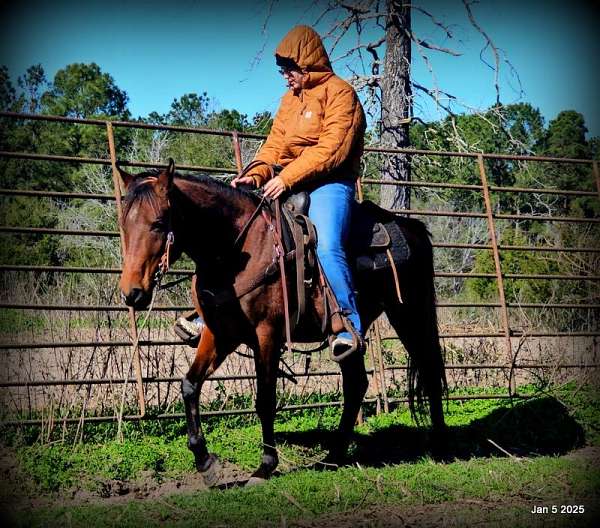 kids-quarter-horse