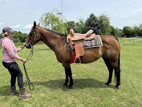 trail-riding-quarter-horse